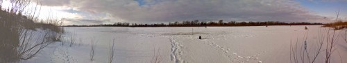 Ryb_29122012-1.jpg