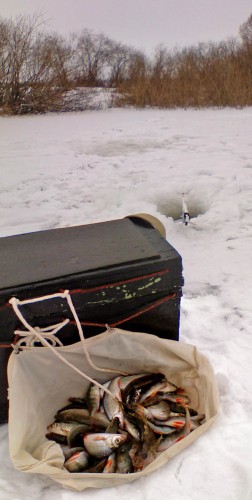 Ryb_02.01.2013-3.jpg