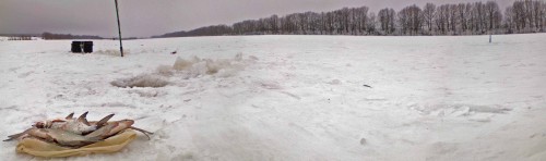 Ryb_03012013-4.jpg