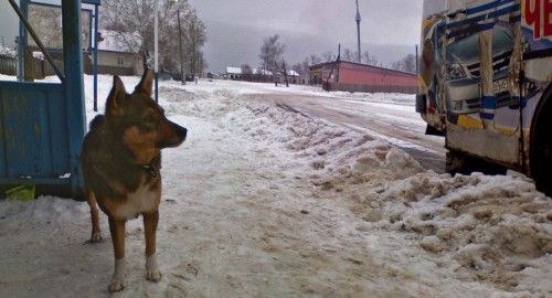 Ryb_050113-5.jpg