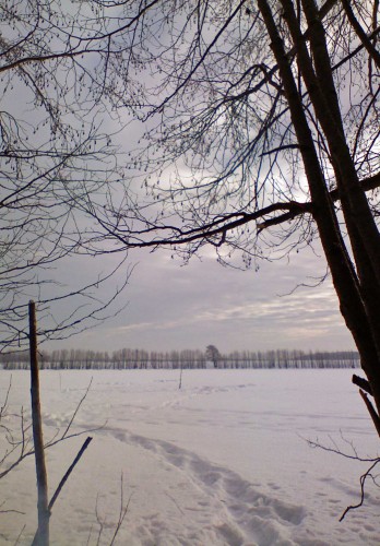 Ryb_130113-3.jpg
