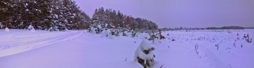 Ryb_19012013-2.jpg