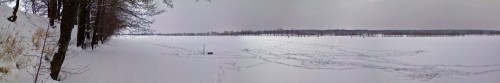 Ryb_19012013-4.jpg