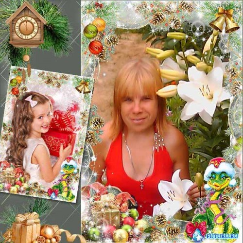 1355636088_frame-let-the-snake-in-the-new-year-will-bring-the-best-gift.jpg