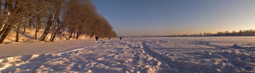 Ryb_260113-2.jpg