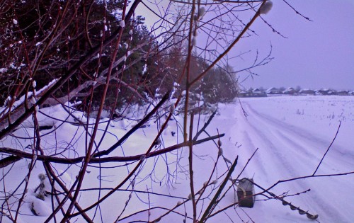 Ryb_29012013-2.jpg
