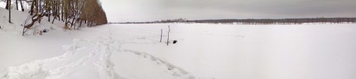 Ryb_29012013-3.jpg