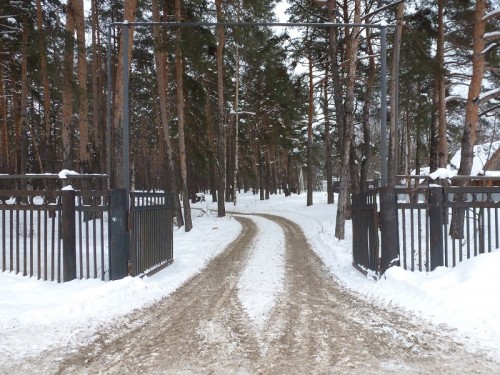 P1020622.1.jpg