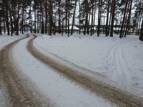 P1020624.1.jpg