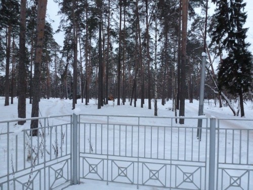 P1020617.1.jpg