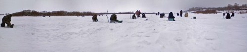 Ryb_02022013-1.jpg