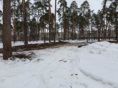 P1020688.1.jpg