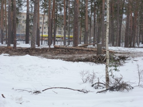 P1020689.1.jpg