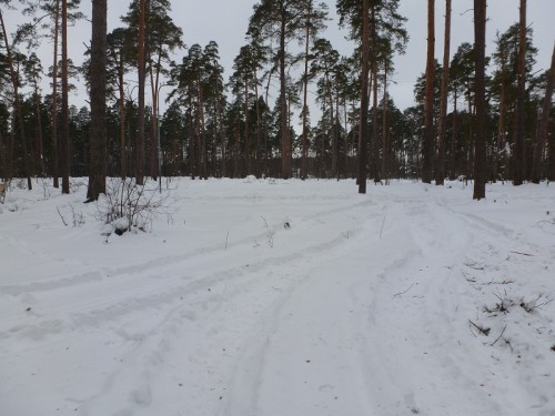 P1020698.1.jpg