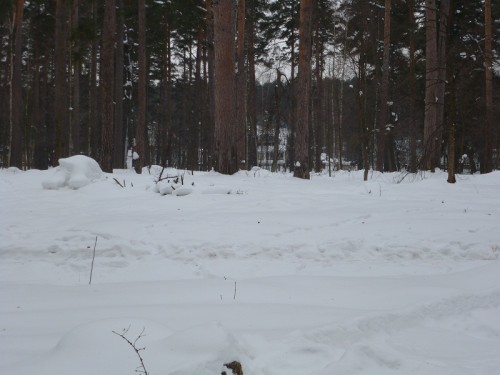 P1020699.1.jpg