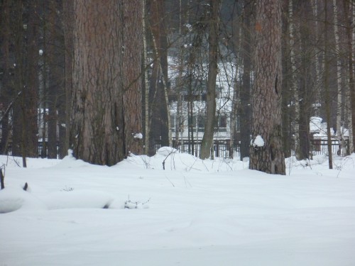 P1020700.1.jpg