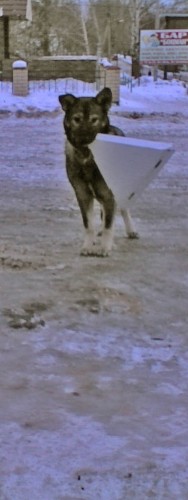 Ryb_050213-2.jpg