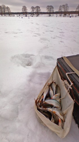 Ryb_070213-2.jpg
