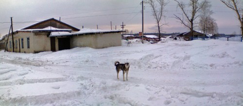 Ryb_070213-3.jpg
