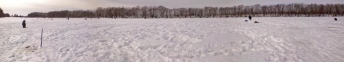 Ryb_090213-3.jpg