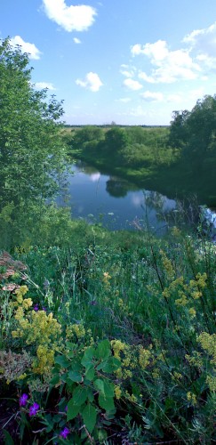 Klubnika_30062011_3.jpg
