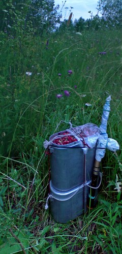 Klubnika_04072011-2.jpg