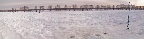 Ryb_17022013-2.jpg