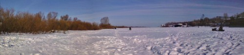 Ryb_25022013-2.jpg