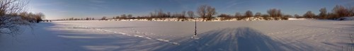 Ryb_03032013-2.jpg
