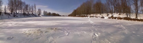 Ryb_11032013-1.jpg