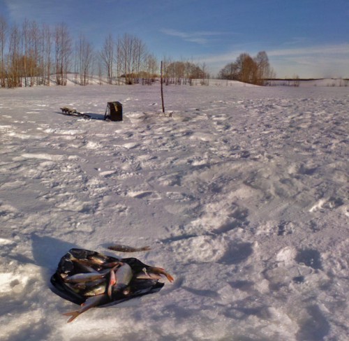 Ryb_11032013-4.jpg