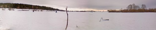 Ryb_14032013-1.jpg