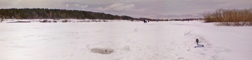 Ryb_20032013-2.jpg