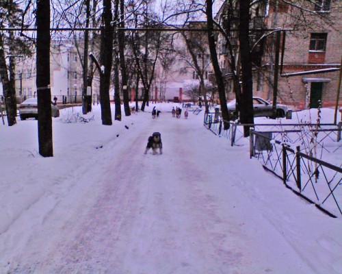 Ryb_20032013-5.jpg