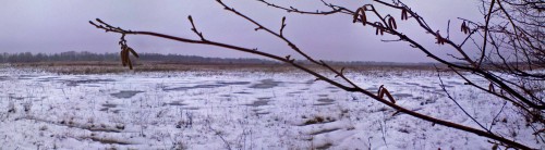 Les_01122012-10.jpg