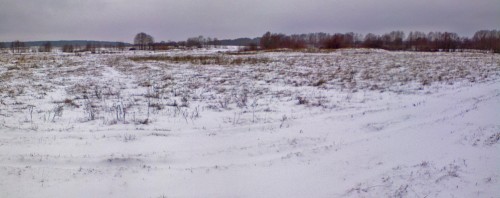 Les_08122012-3.jpg