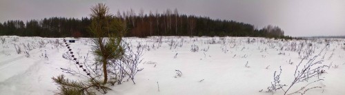 Les_03012013-1.jpg