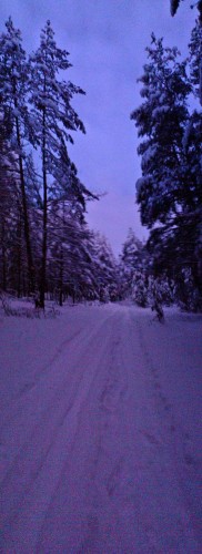 Les_13012013-1a.jpg