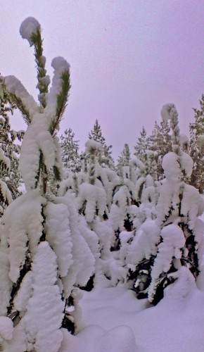 Les_13012013-1b.jpg