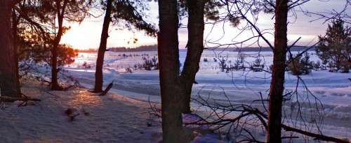 Les_17022013.jpg