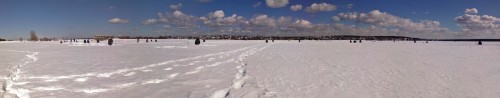 Ryb_29032013-2.jpg