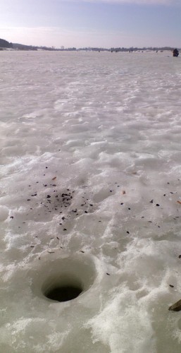 Ryb_03042013-2.jpg