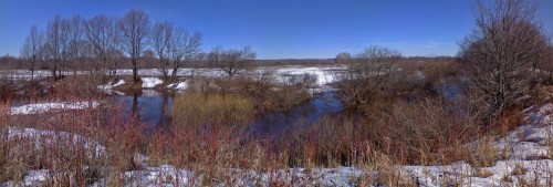 Ryb_10042013-3.jpg