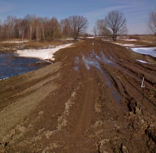Ryb_12042013-2.jpg