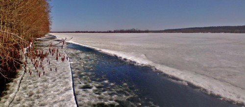 Ryb_14042013-2.jpg