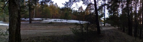 Ryb_16042013-1.jpg
