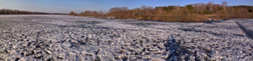 Ryb_16042013-2.jpg