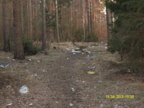 SNV81745.JPG