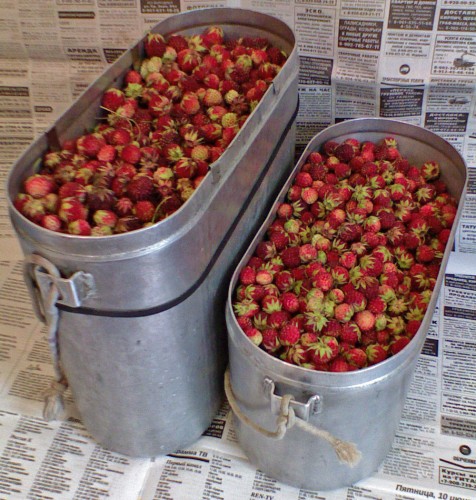 Klubnika_07072011.jpg