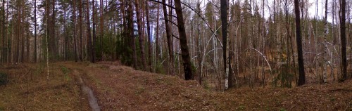 Les_26042013-2.jpg